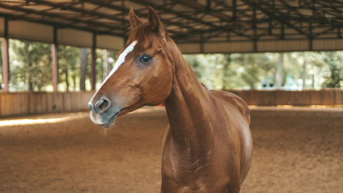 68499ffd58e5b9fe061e8abc